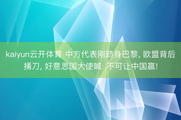 kaiyun云开体育 中方代表刚跻身巴黎， 欧盟背后捅刀， 好意思国大使喊: 不可让中国赢!