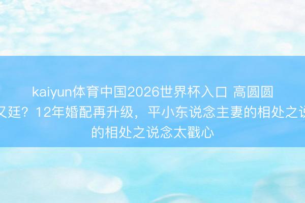 kaiyun体育中国2026世界杯入口 高圆圆为啥选赵又廷？12年婚配再升级，平小东说念主妻的相处之说念太戳心