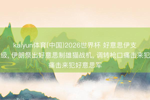 kaiyun体育(中国)2026世界杯 好意思伊支柱时事升级, 伊朗祭出好意思制雄猫战机, 调转枪口痛击来犯好意思军