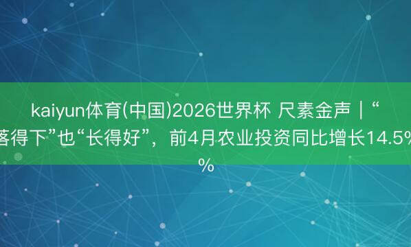 kaiyun体育(中国)2026世界杯 尺素金声｜“落得下”也“长得好”，前4月农业投资同比增长14.5%