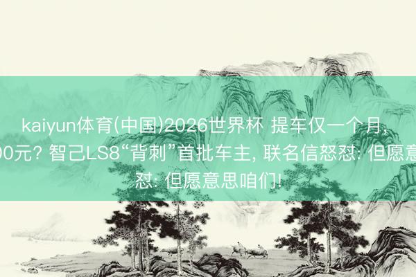 kaiyun体育(中国)2026世界杯 提车仅一个月， 血亏9800元? 智己LS8“背刺”首批车主， 联名信怒怼: 但愿意思咱们!